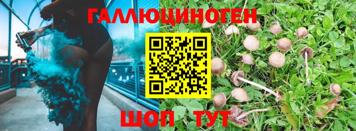 Тверь  Псилоцибиновые грибы GOLDEN TEACHER  Вход с VPN 